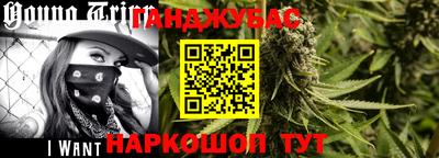 тгк Камышлов