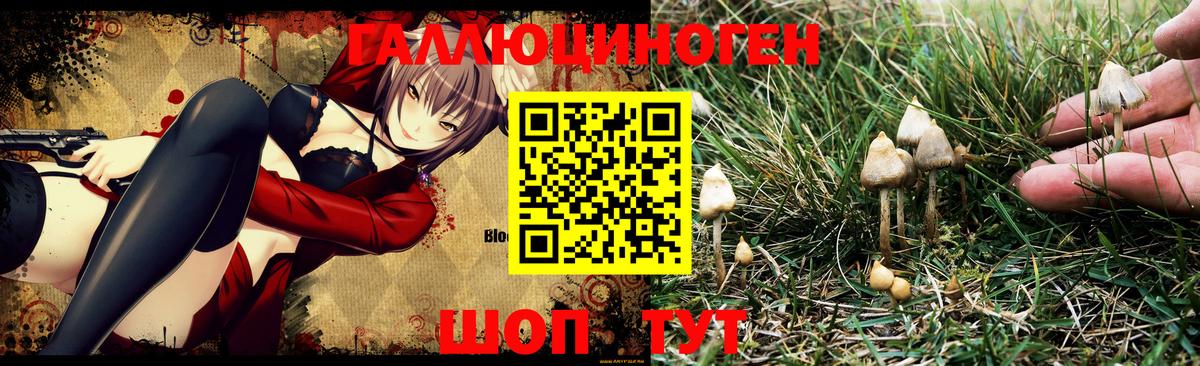 Татарск  Галлюциногенные грибы Psilocybine cubensis  Вход с VPN 